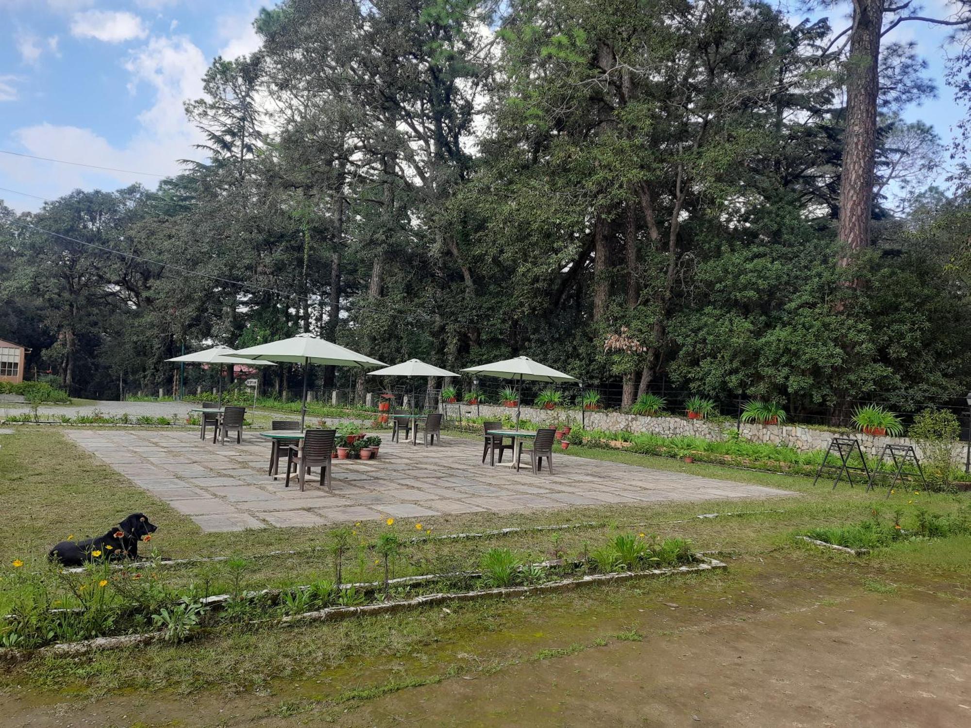 West View Hotel Ranikhet Esterno foto